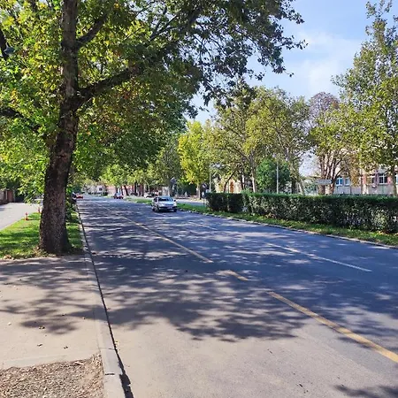 דירה Alacaster With Private Parking נובי סאד