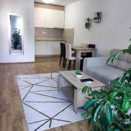 Alacaster With Private Parking דירה נובי סאד