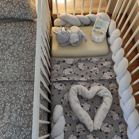 דירה Alacaster With Private Parking נובי סאד