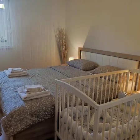 Alacaster With Private Parking דירה נובי סאד