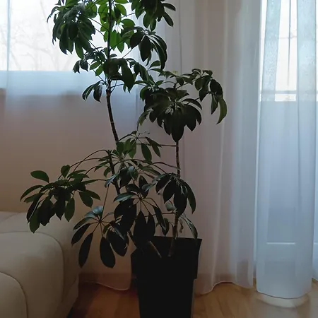 דירה Alacaster With Private Parking